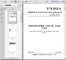 计算机信息系统集成服务及其企业能力评估