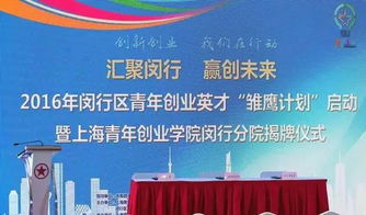 闵行雏鹰计划大揭秘 信息系统集成服务下的青年创业者崭露头角之道